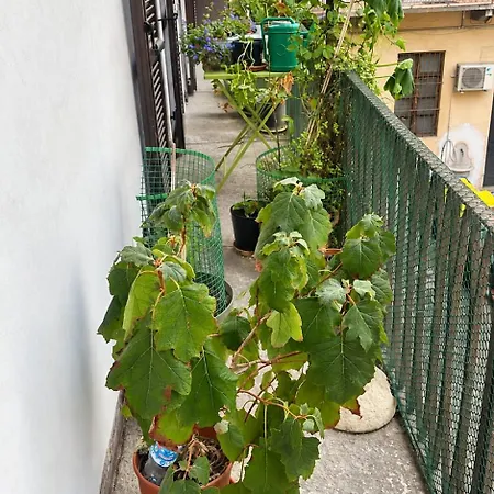 Appartement Casa Lo